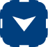 Down Arrow Icon