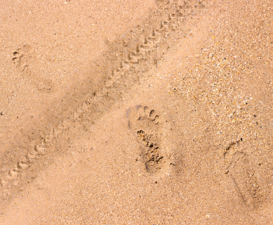 Cross Border Litigation - Zayouna Law Firm 