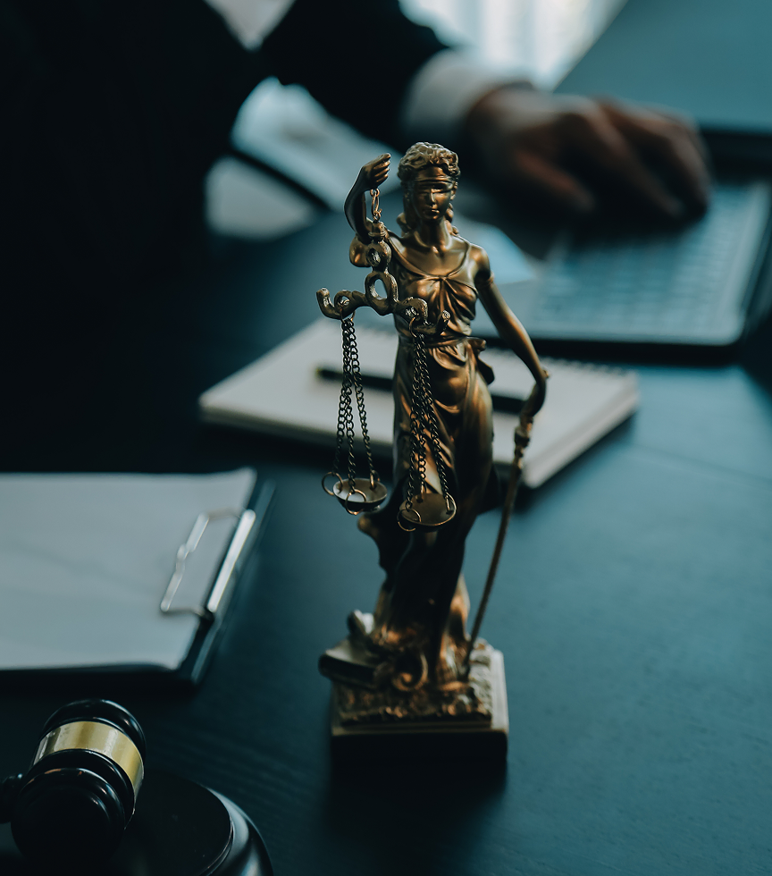 Client Results & Case Outcomes - Zayouna Law Firm