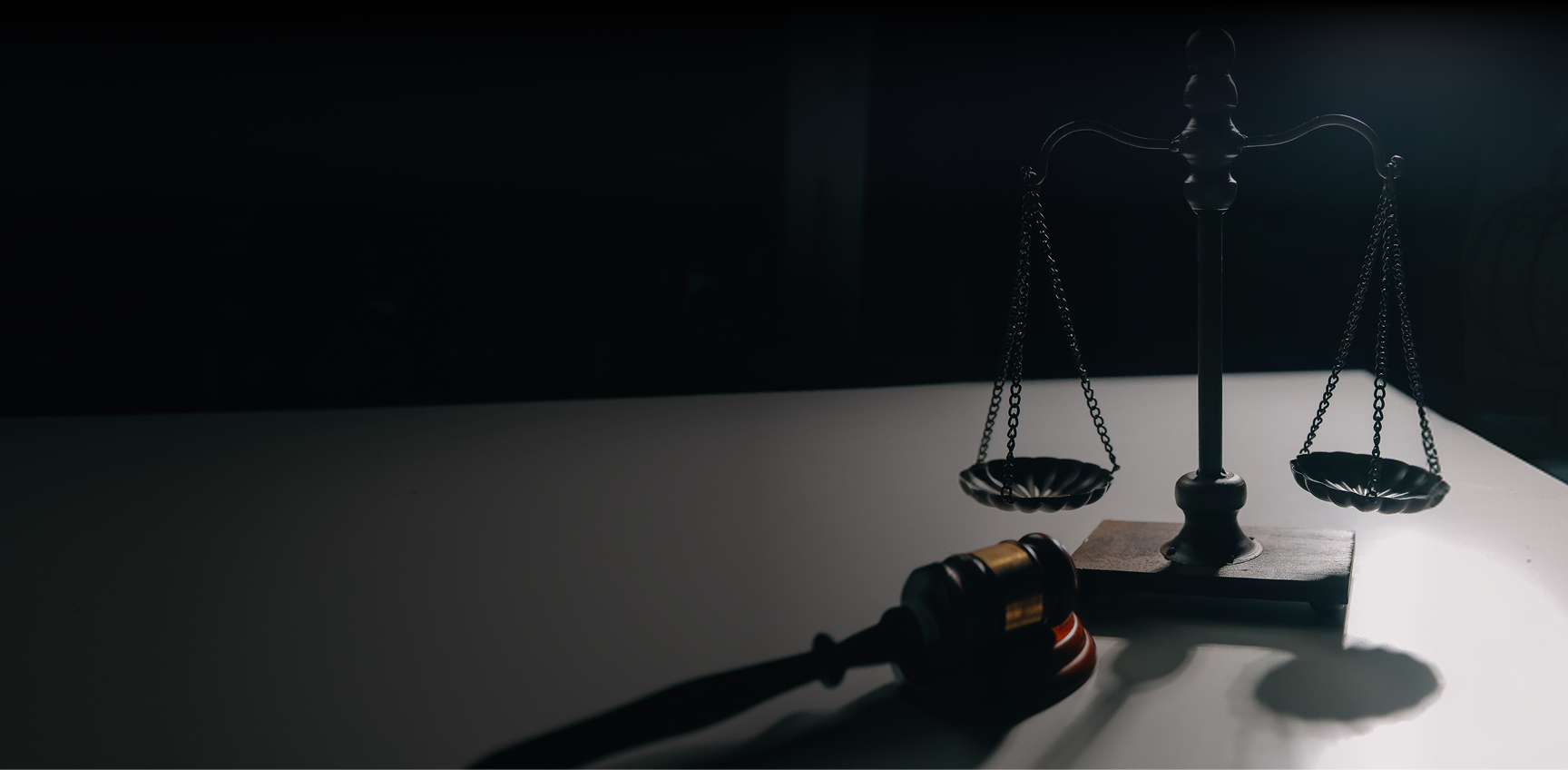 Reported Legal Decisions & Case Results - Zayouna Law Firm